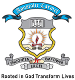 Apostolic Carmel high School
